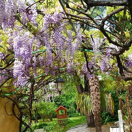 D'hotes L'arbre D'or Guest house