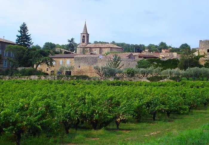 D'hotes L'arbre D'or Gæstehus Saint-Michel-d'Euzet
