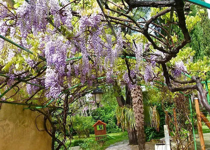 D'hotes L'arbre D'or Gæstehus